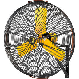 Big Ass Fans&#174; AirEye&#174; 36"" Directional Fan w/ Wall Mount & AEOS