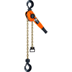 CM Series 653 Ratchet Chain Lever Hoist 2T Capacity 20' Lift