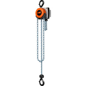 CM Hurricane 360&#176; Hand Chain Hoist 1/2 Ton 20 Ft. Lift