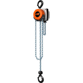 CM Hurricane 360&#176; Hand Chain Hoist 1 Ton 10 Ft. Lift