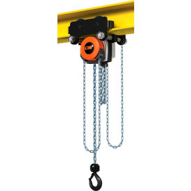 CM Hurricane 360&#176; Hoist & Trolley Combo Geared 2 Ton Capacity 30' LIft