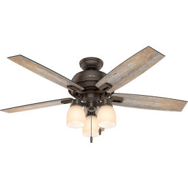 Hunter Fan Co. 52"" Donegan Ceiling Fan With Three Lights & Onyx Bengal Finish
