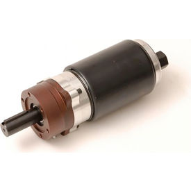 Ingersoll Rand Tune up Kit; For Mfr. No. 3942 Series