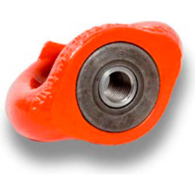Swivel Eye Nut -  M 12