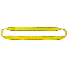 Liftex&#174; Pro-Edge&#174; 1""W 3'L 1 Ply Endless Poly Flat Web Sling