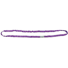 Liftex&#174; RoundUp&#8482; 3/4""W 6'L Endless Poly Roundsling ENR1X6D Purple