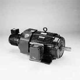 Marathon Motors Inverter Duty Motor Y511 284THFPA8038 25HP 230/460V 1800RPM 3PH 284TC TEBC