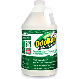 Concentrated Odor Eliminator And Disinfectant Eucalyptus 1 Gal Bottle