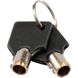Global Industrial&#8482; Replacement Keys (2) for Inter Office Mailboxes (443490 & 443491)