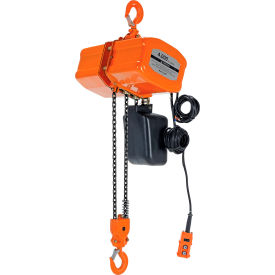 Economy Electric Chain Hoist 2 Ton Capacity 15' Lift 16 FPM 440V