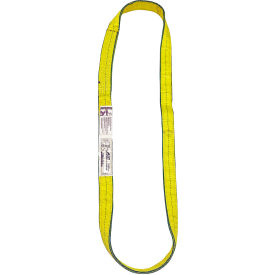 Lift America 2"" X 3' 2PLY Polyster EdgeGuard Flat Web Sling Endless Type V EN2-902 X 3 (S152072)