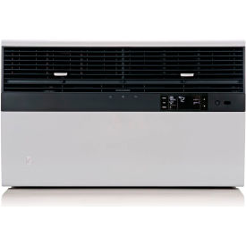 Friedrich® Kuhl Commercial Window/Wall Air Conditioner 35000 BTU 230V R32